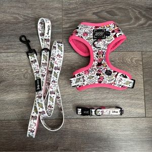 3 Piece Disney Minnie & Daisy Leash & Collar by Sassy Woof Set